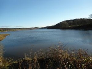 Peppermill Loch