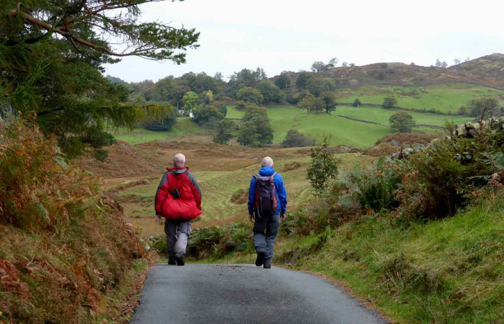 Oxen Fell Minor Road. Lake District