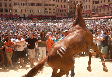 Palio