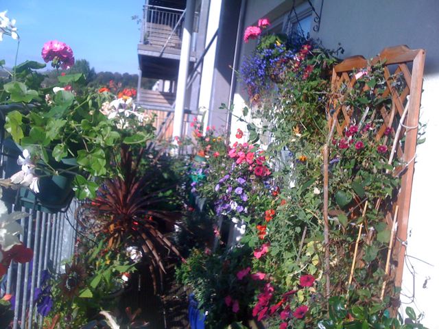 balcony sept