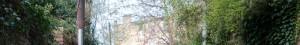 cropped-header-ygl3