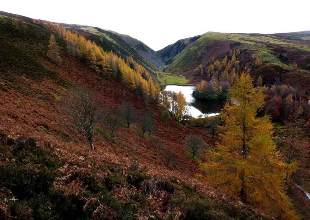 Autumn Splendour – A Border's Lochan