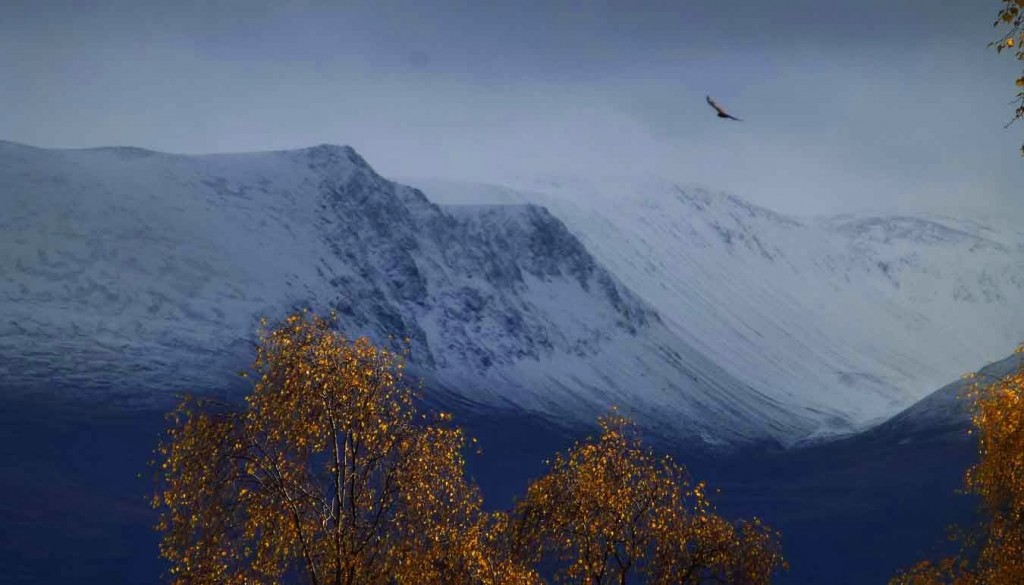 Early Winter in the Cairngorms.