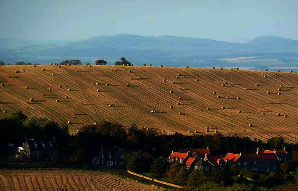 Hay Bales on Ridgeline at Beecraigs