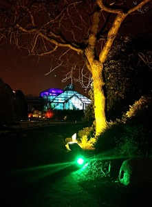electricgardentree