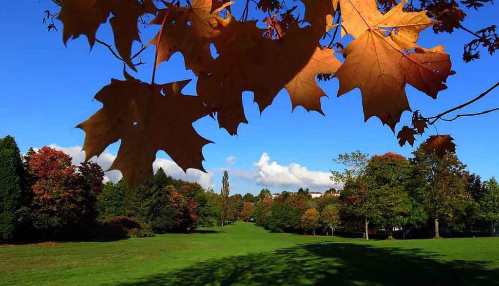 Indian Autumn. October in Glasgow Park