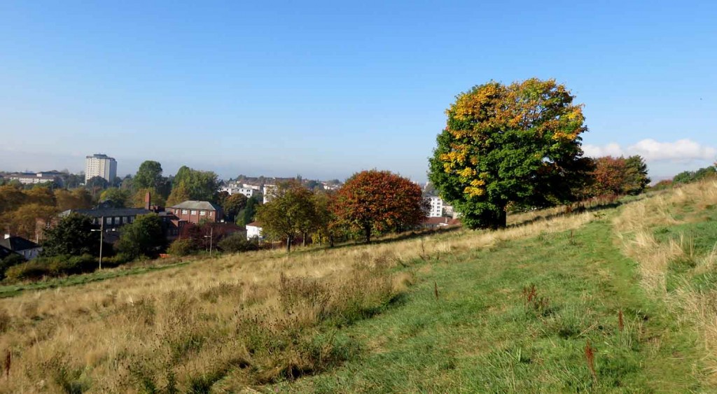 The Hill. Wood of Knights. Glasgow autumn