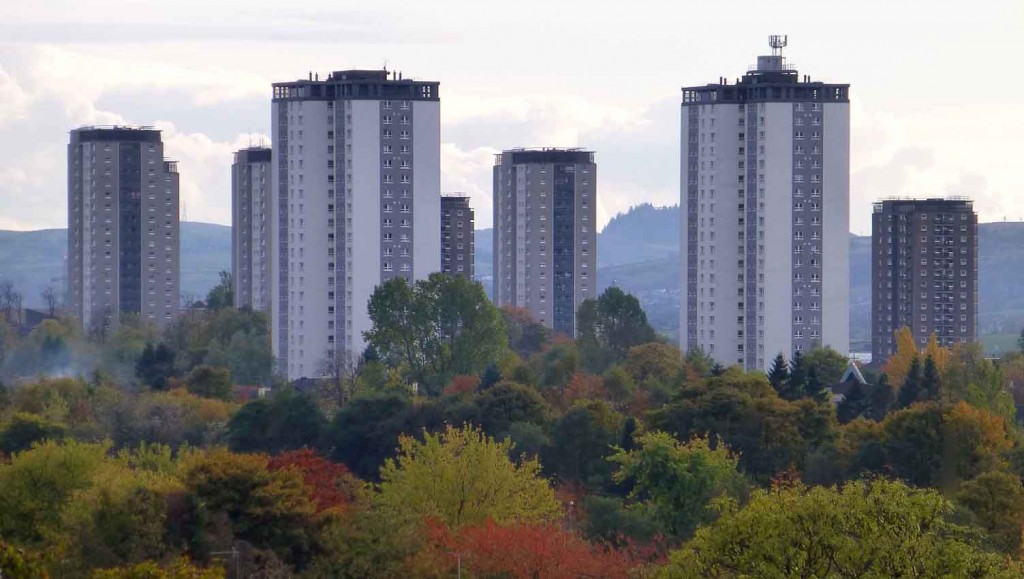 The Urban Jungle. Glasgow.