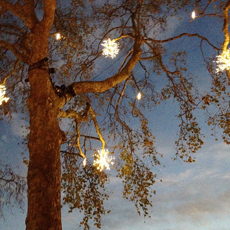Trees outside Satchi Gallery
