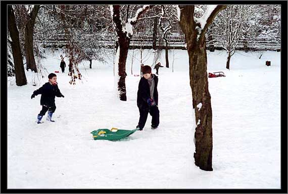 sleds_at_botanics-2324