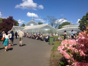 kibble botanics