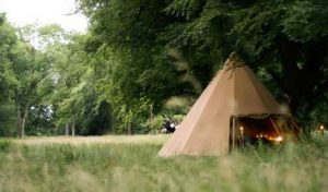 sumer bushcraft club