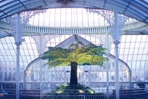 kibble palace amazing jim byrne