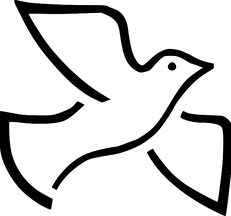 dove talses_jpg