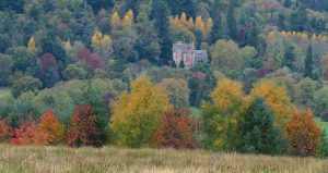 Autumn Colours. Castle Leod. Strathpeffer in October