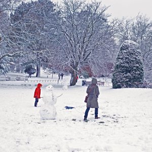 Playing in the snow Botanic Gardens