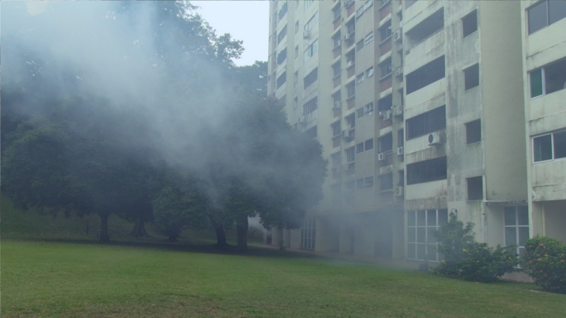 aperture asia and pacifific film festival in time to come