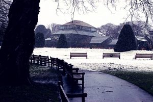 snow botanics 2018