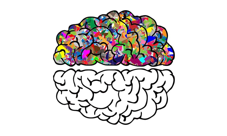 brain science festival