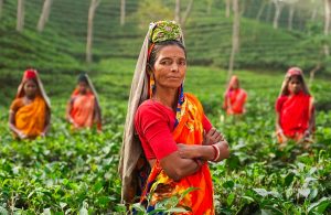 PIXABAY INDIAN WOMAN