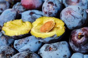 plum-1690579_640
