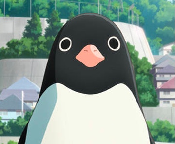 penguin highway