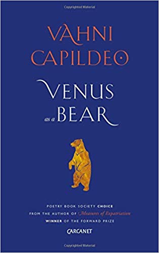 venus as a bear