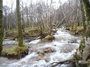 Glen Nevis Water