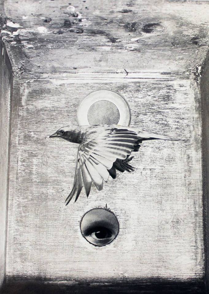 earth echo affective