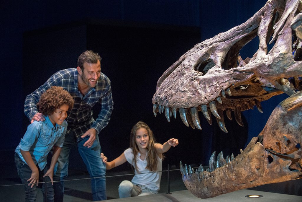 T.Rex in Town de tentoonstelling in Naturalis over de T.Rex Trix en andere dino's!