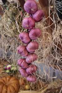 garlic