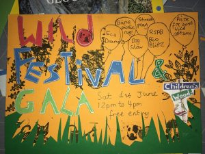 wild festival and gala childrens wood