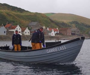 of fish and foe