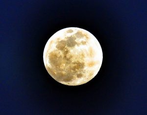 MOON