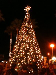 the childrens woold and meadow christmas