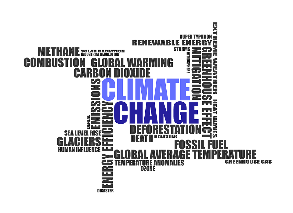 climate-change-1908381_960_720