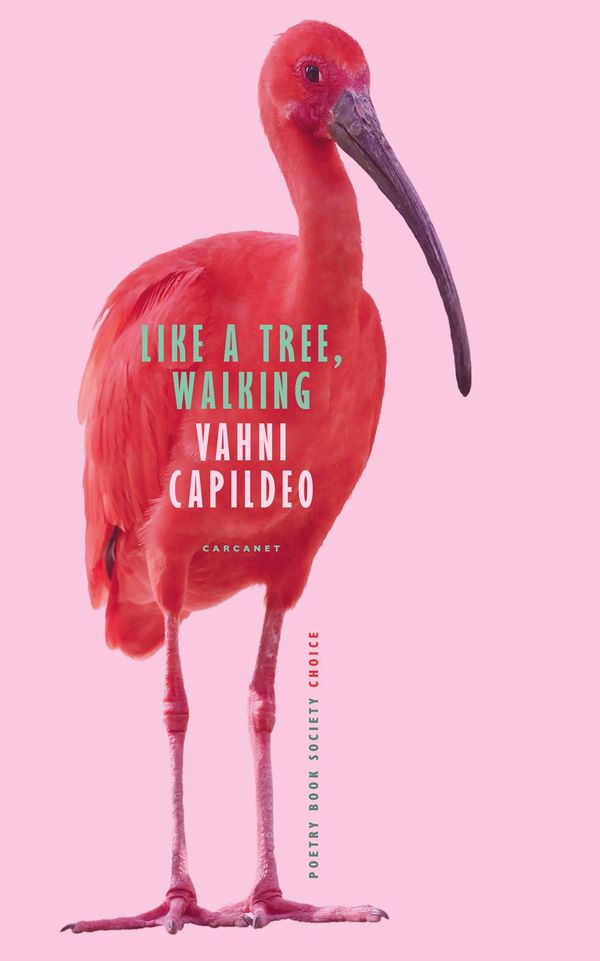 like a tree walking