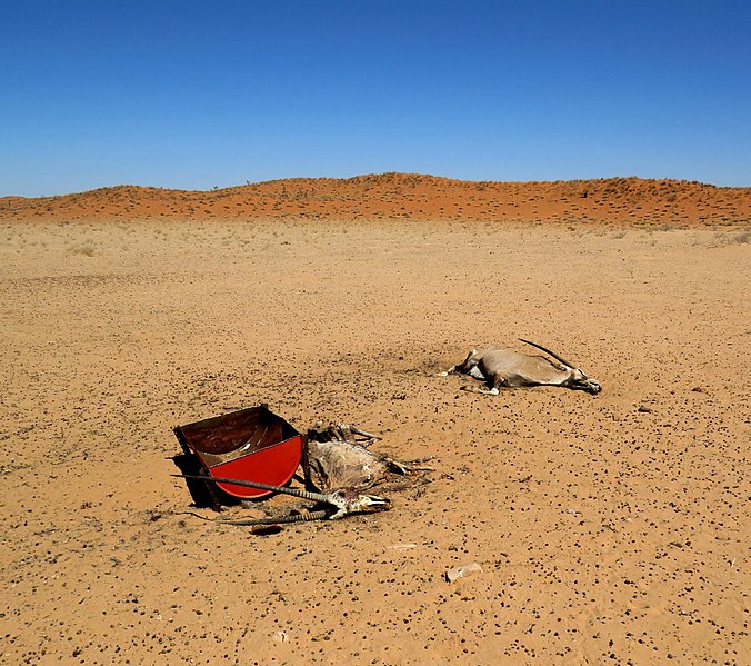drought