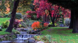 Gardens of Delight. Clydebank Public Park.