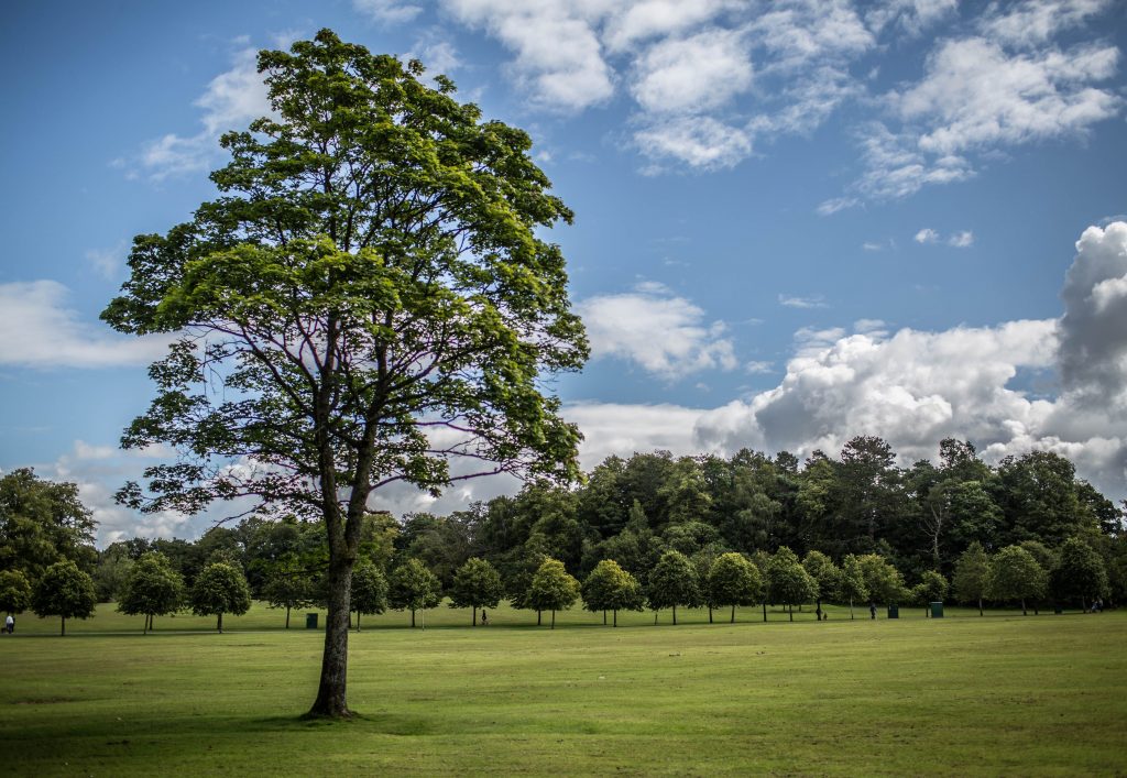 Rouken Glen Park
