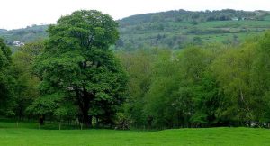 The Ridges Renfrewshire