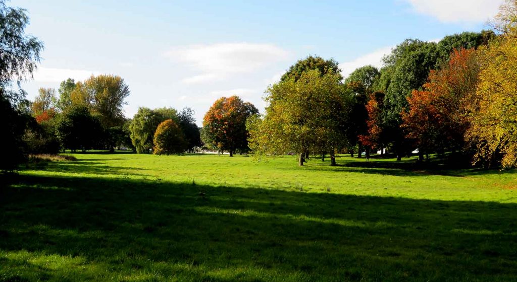 Part of Househill Park. Pollok