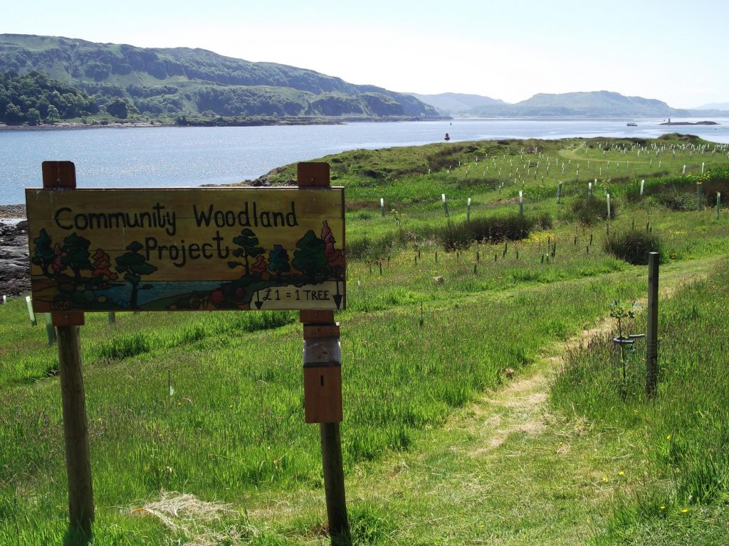 woodland project