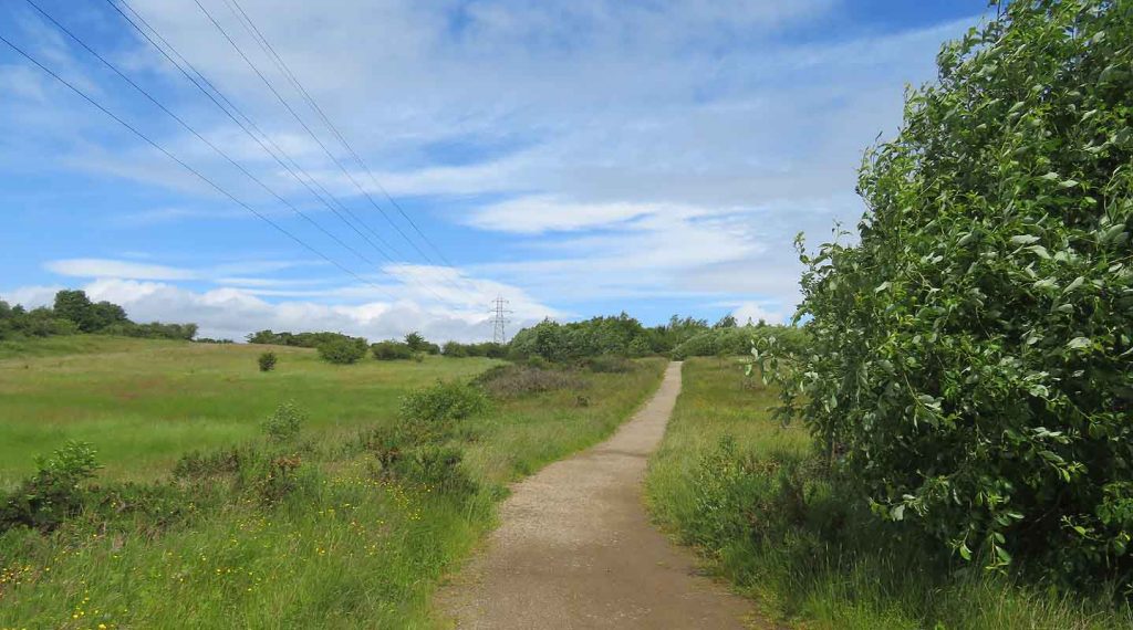 Dams to Darnley Country Park