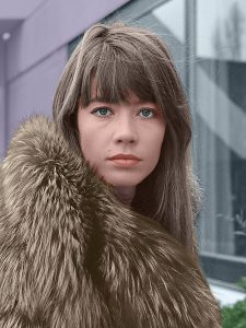Francoise Hardhy 1969 Joost Evers : Anefo, CC BY-SA 3.0 , via Wikimedia Commons '