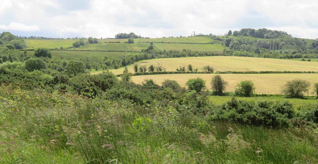 The Rural Beauty. Renfrewshire Fields