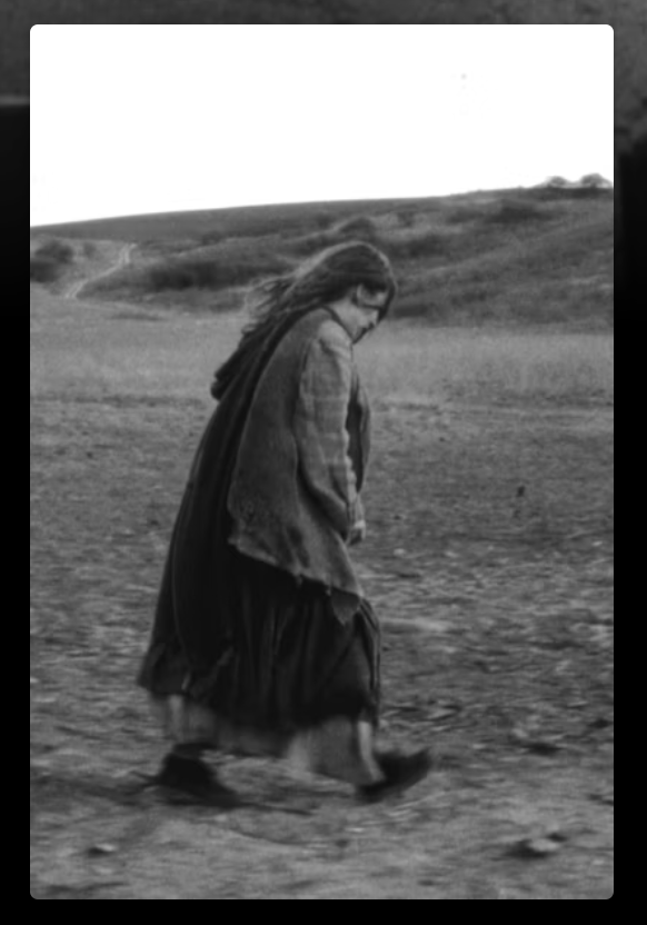the turin horse