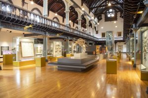 hunterian museum