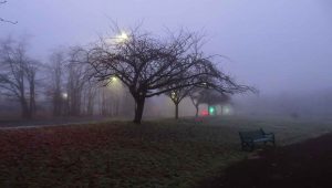 A Gothic Romance. Glasgow