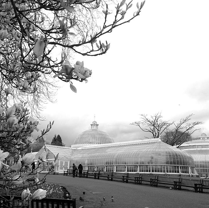 kibble palace